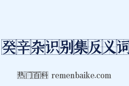癸辛杂识别集反义词是什么意思的图片